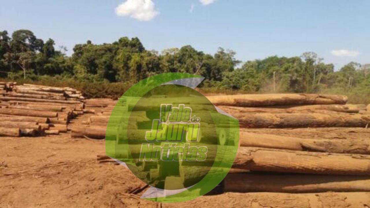 Dois são presos por roubar madeira de terra indígena Nambikwara