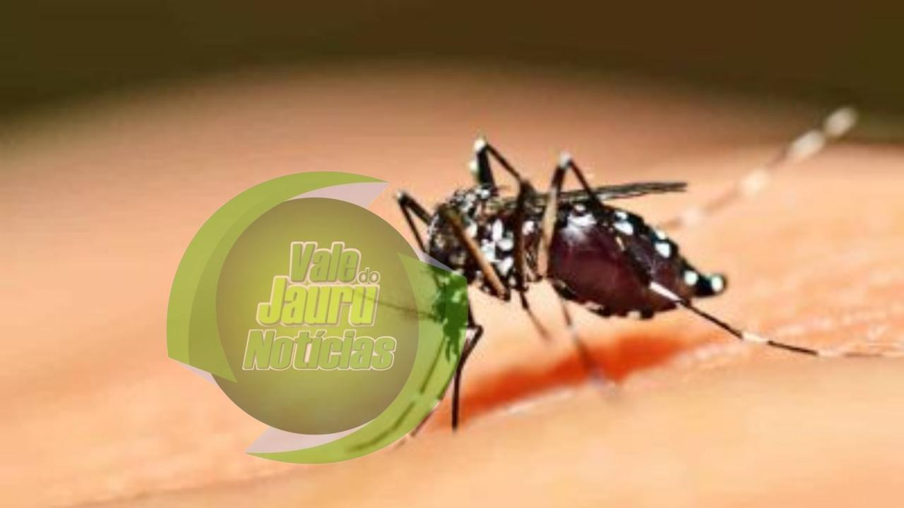 Em Mato Grosso, três pessoas morreram e mais de 10 mil foram infectadas com dengue neste ano