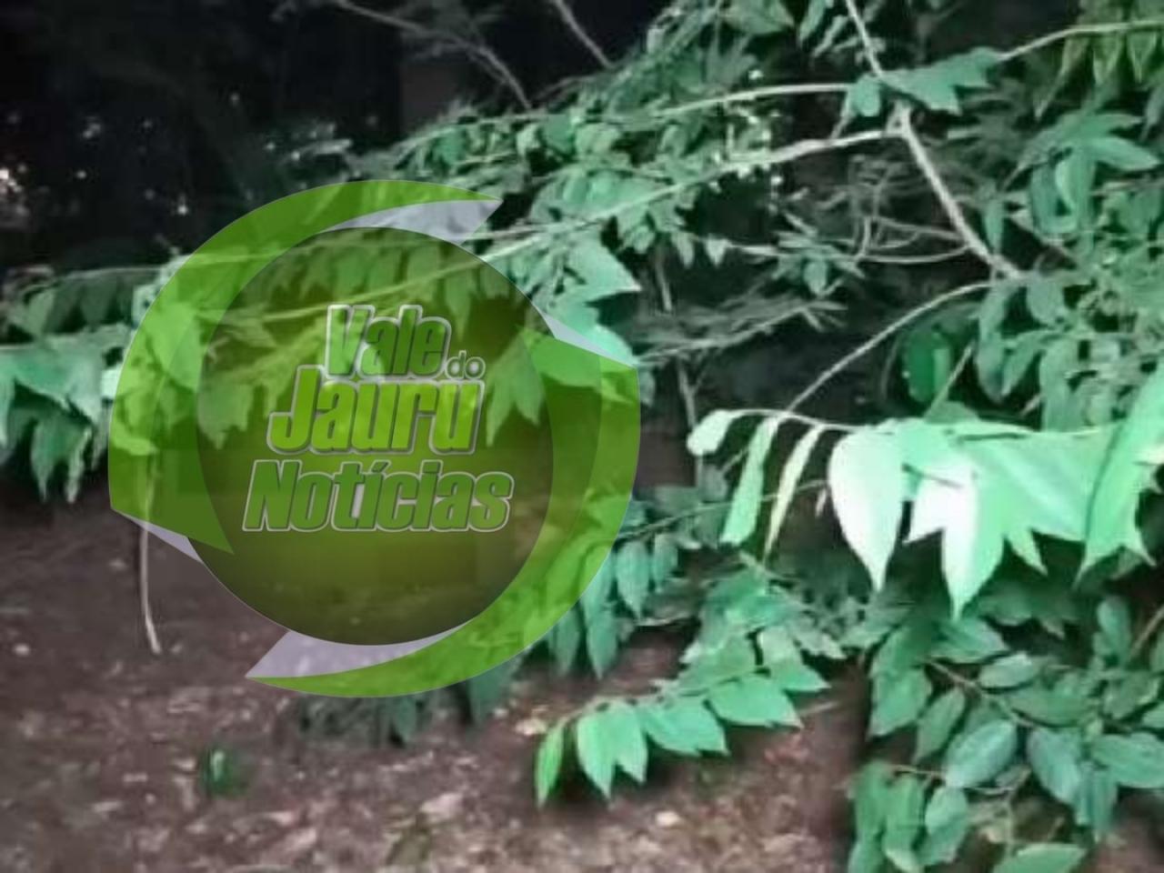 Morador de rua é espancado até a morte com pedaços de madeira em praça