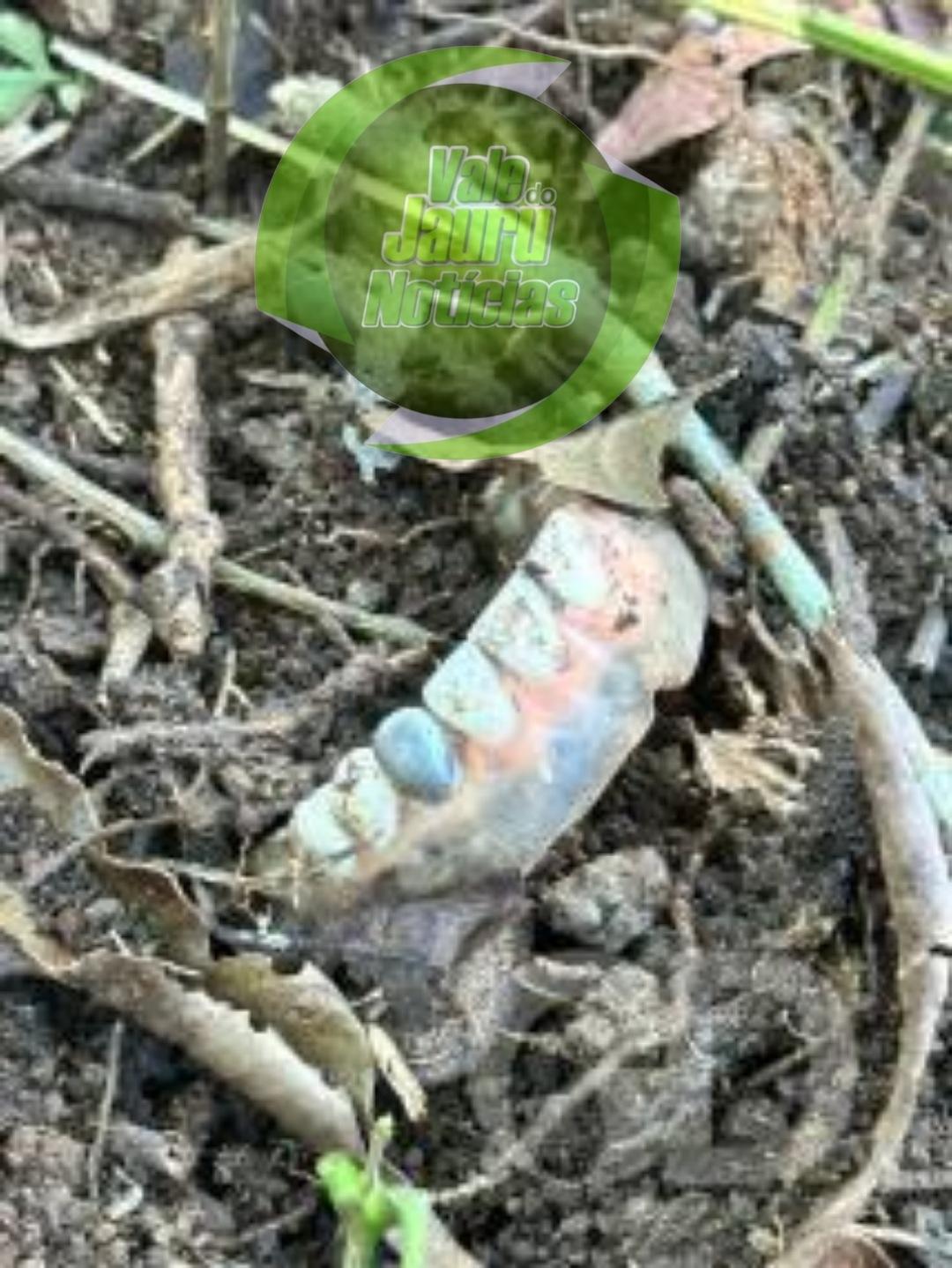 Ossada humana é encontrada em cemitério clandestino usado por Facção criminosa