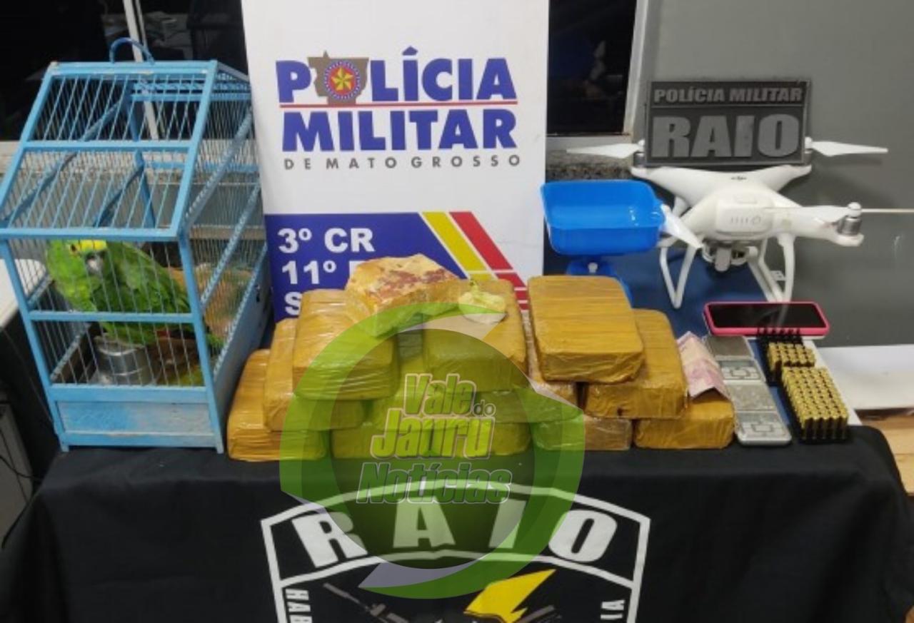 Polícia salva papagaio que pertencia ao Comando Vermelho em Mato Grosso
