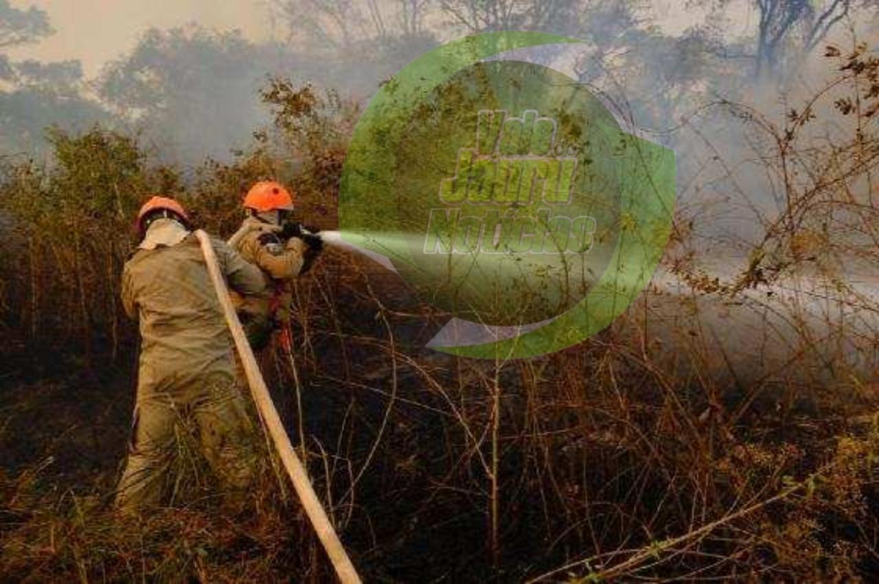 Queimadas estão proibidas em Mato Grosso entre 1º de julho e 31 de outubro