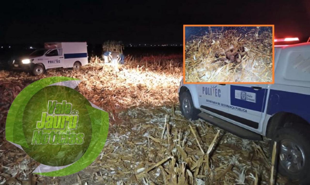 Corpo encontrado quase mumificado em milharal é de homem desaparecido desde abril