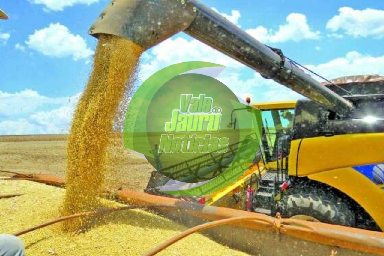 Exportação de grãos de milho e soja estima trégua nos preços