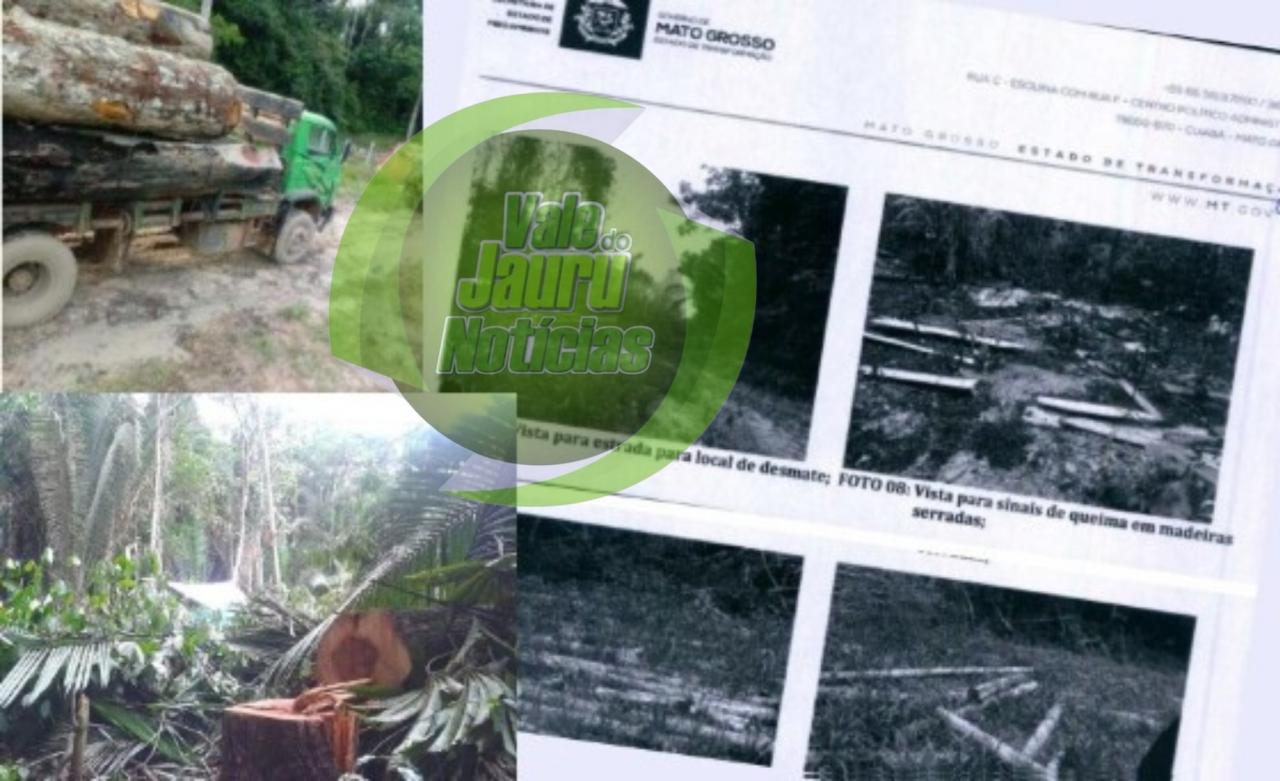 Fazendeira que tem projeto para reflorestar a Amazônia luta há 8 anos para expulsar invasores