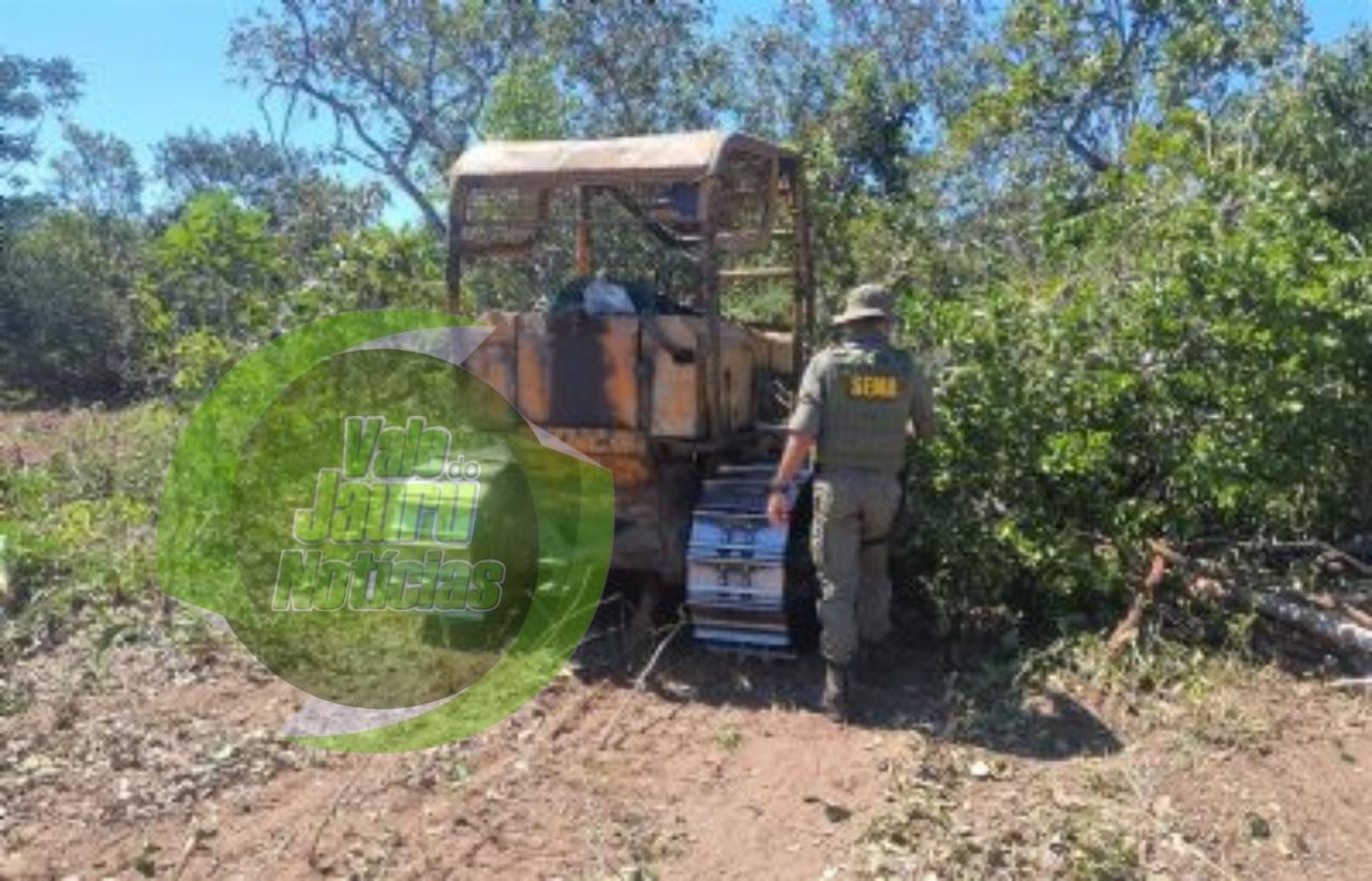 Governo de MT realizou 100 operações em campo contra desmatamento ilegal de janeiro a maio