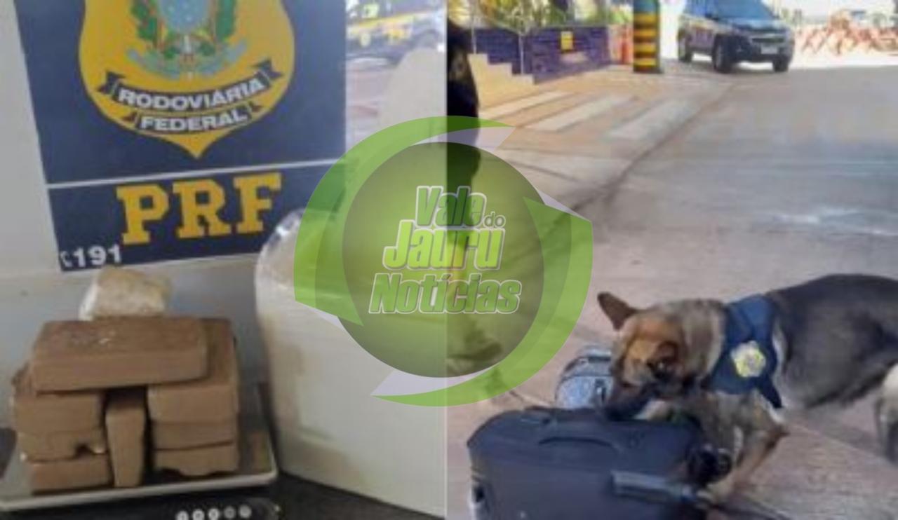 PRF apreende mais de 15 kg de cocaína sendo transportada em rodovias