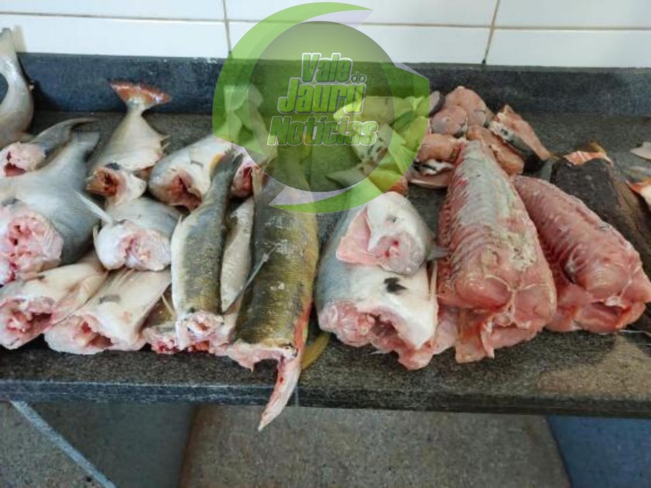 Sema intensifica fiscalização contra pesca ilegal em diferentes regiões de MT