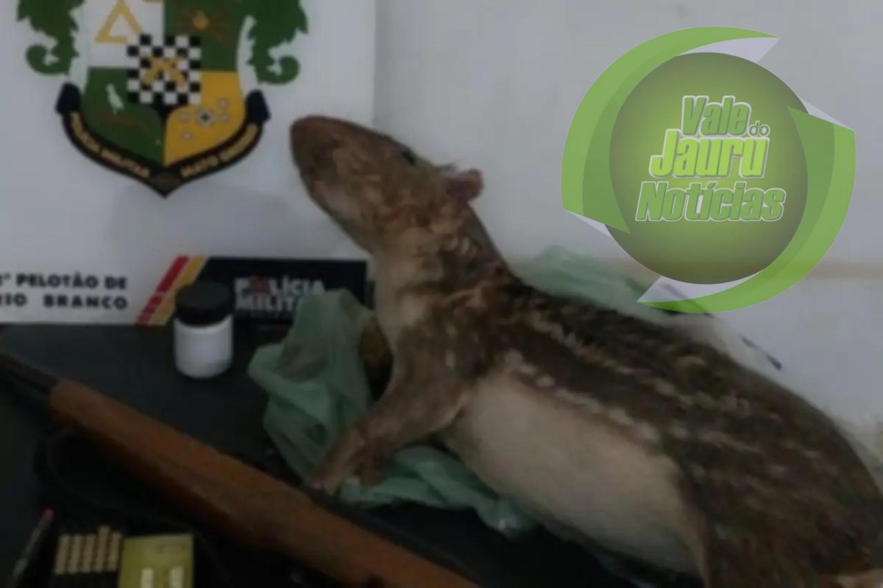 Três homens são presos após matarem paca em Rio Branco