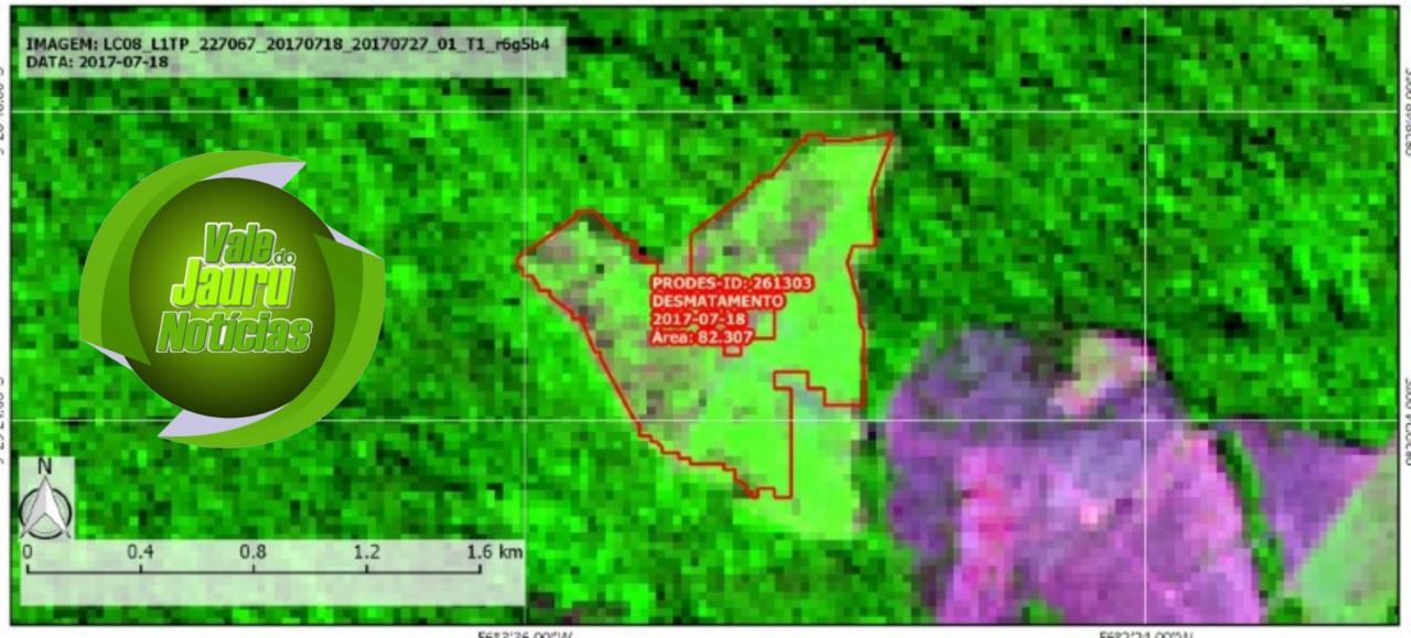 Empresário da mineração de Mato Grosso terá que recuperar floresta