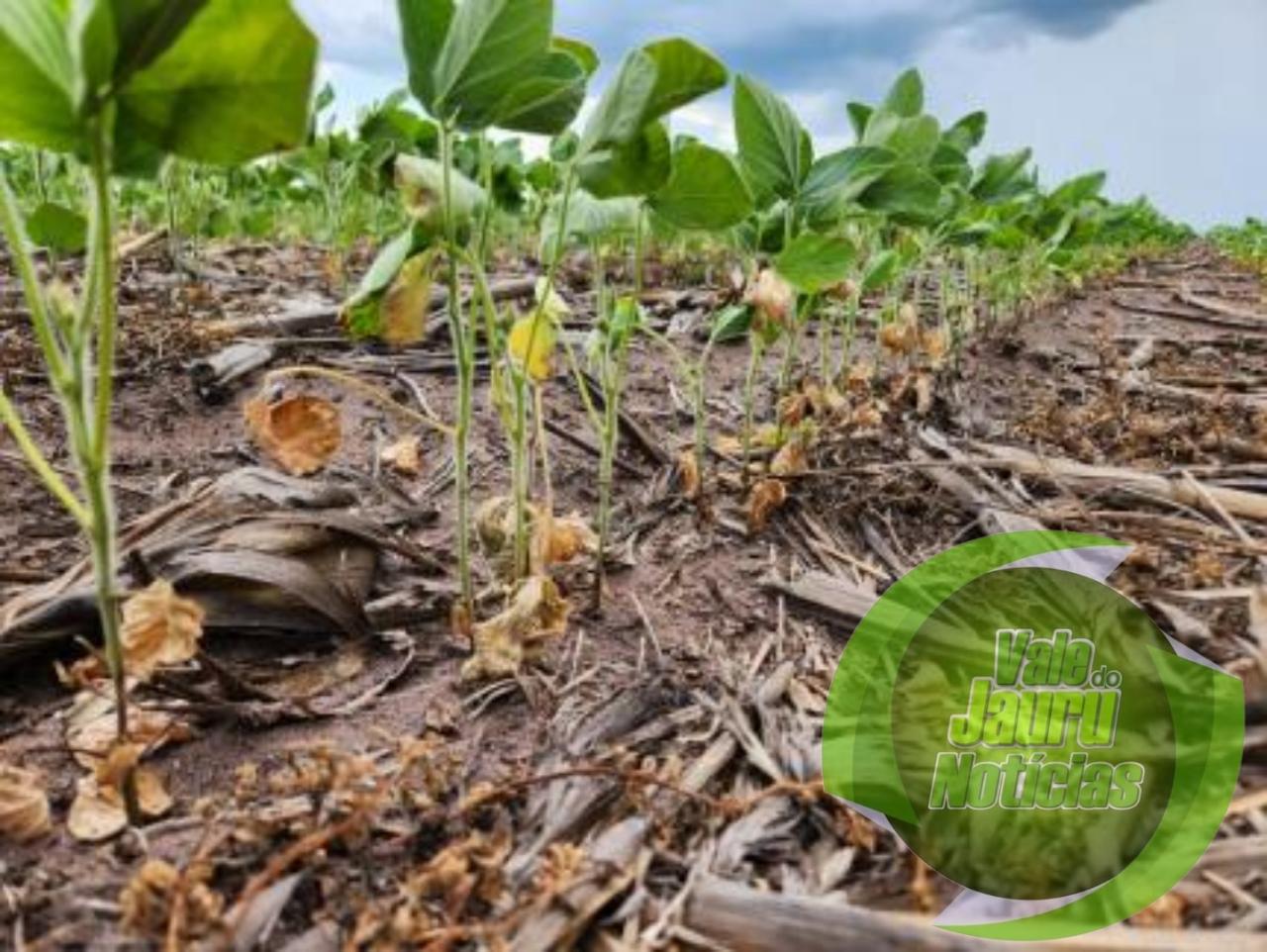 Fazenda é condenada a pagar indenização à família de trabalhador morto em acidente de trabalho