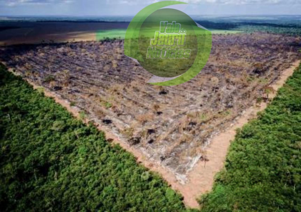 Ibama vai intensificar fiscalização no Cerrado contra desmatamento