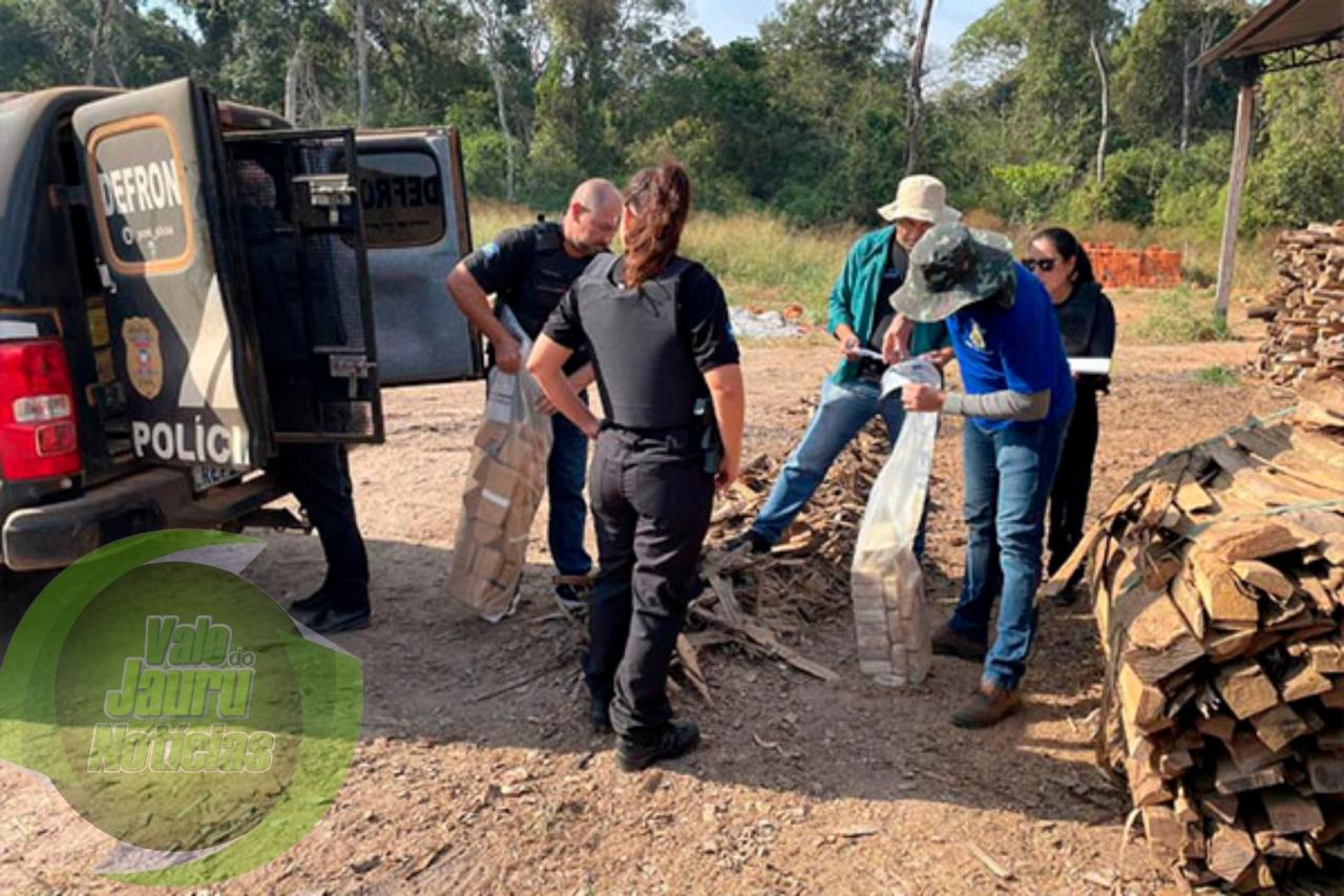 Polícia Civil incinera cerca de 350 quilos de entorpecentes em Cáceres