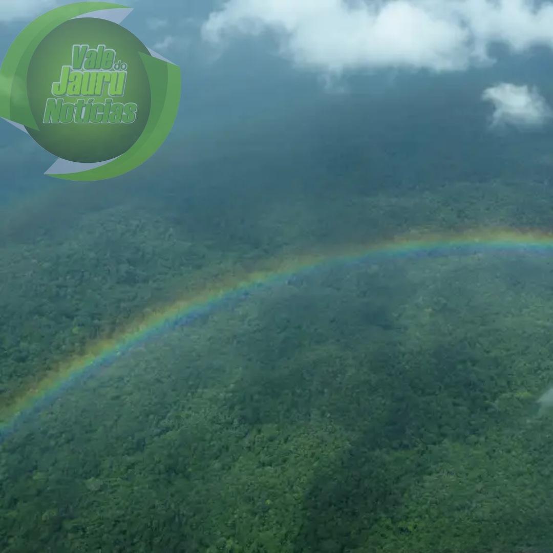 Terra Indígena Yanomami começa a se recuperar com saída de garimpeiros