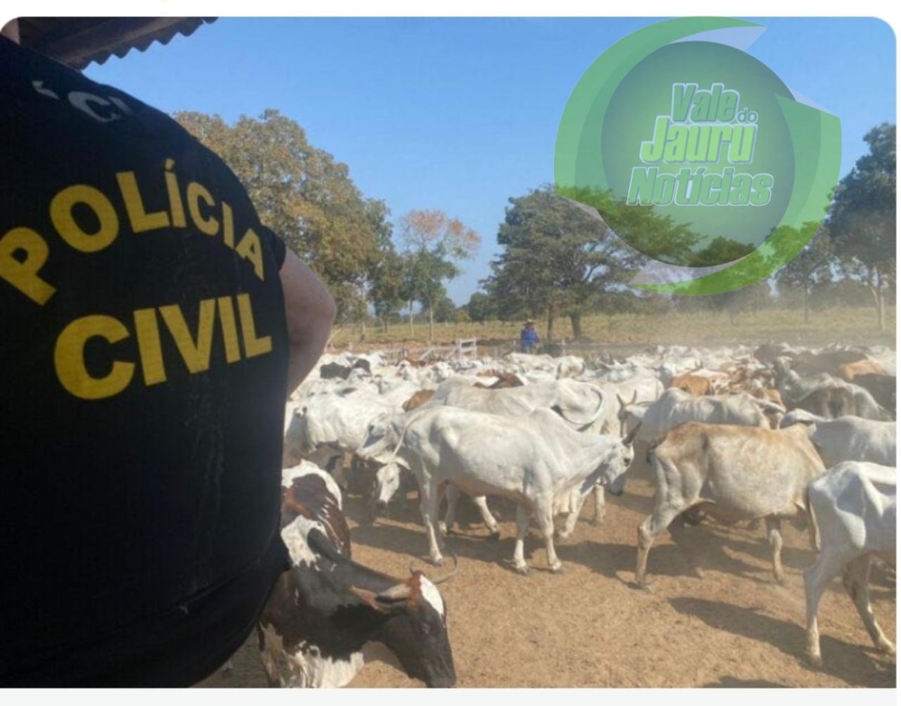 Em Cáceres Polícia recupera gado furtado e apreende armas e munições em sítio