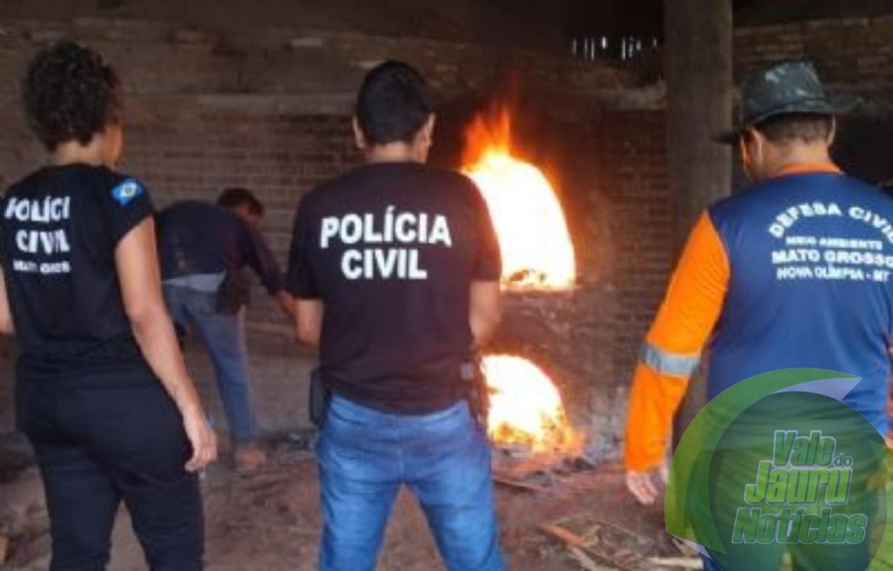 Em combate ao tráfico Polícia Civil incinera 35 quilos de pasta base e maconha