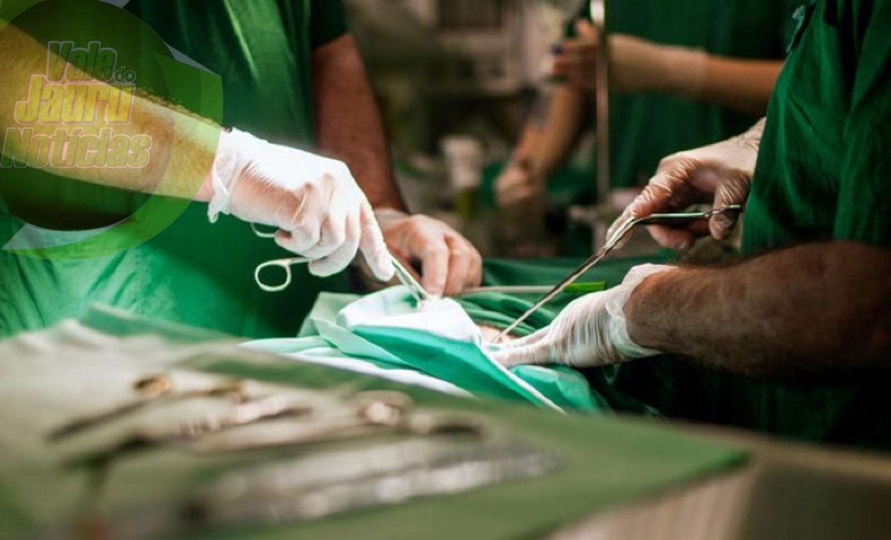 Feito inédito nos Estados Unidos: Rim de porco transplantado para humano funciona bem há um mês