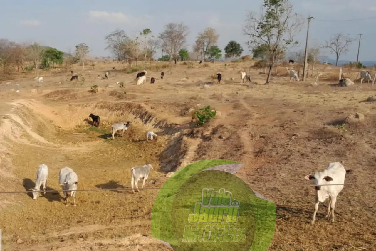 Município de MT decreta situação de emergência por falta de chuva