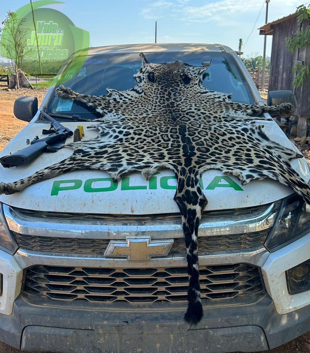 Pele de onça é encontrada durante operação contra desmatamento ilegal em MT