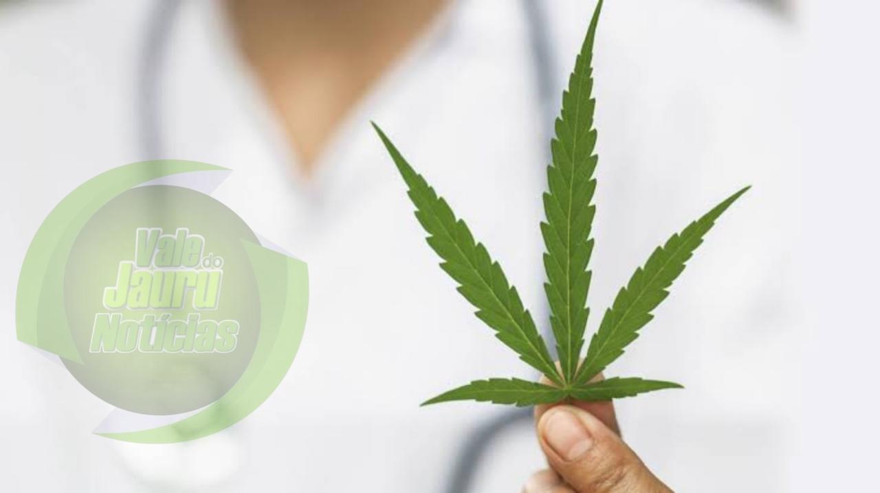 Prefeito de São José dos Campos proíbe marcha da maconha: 