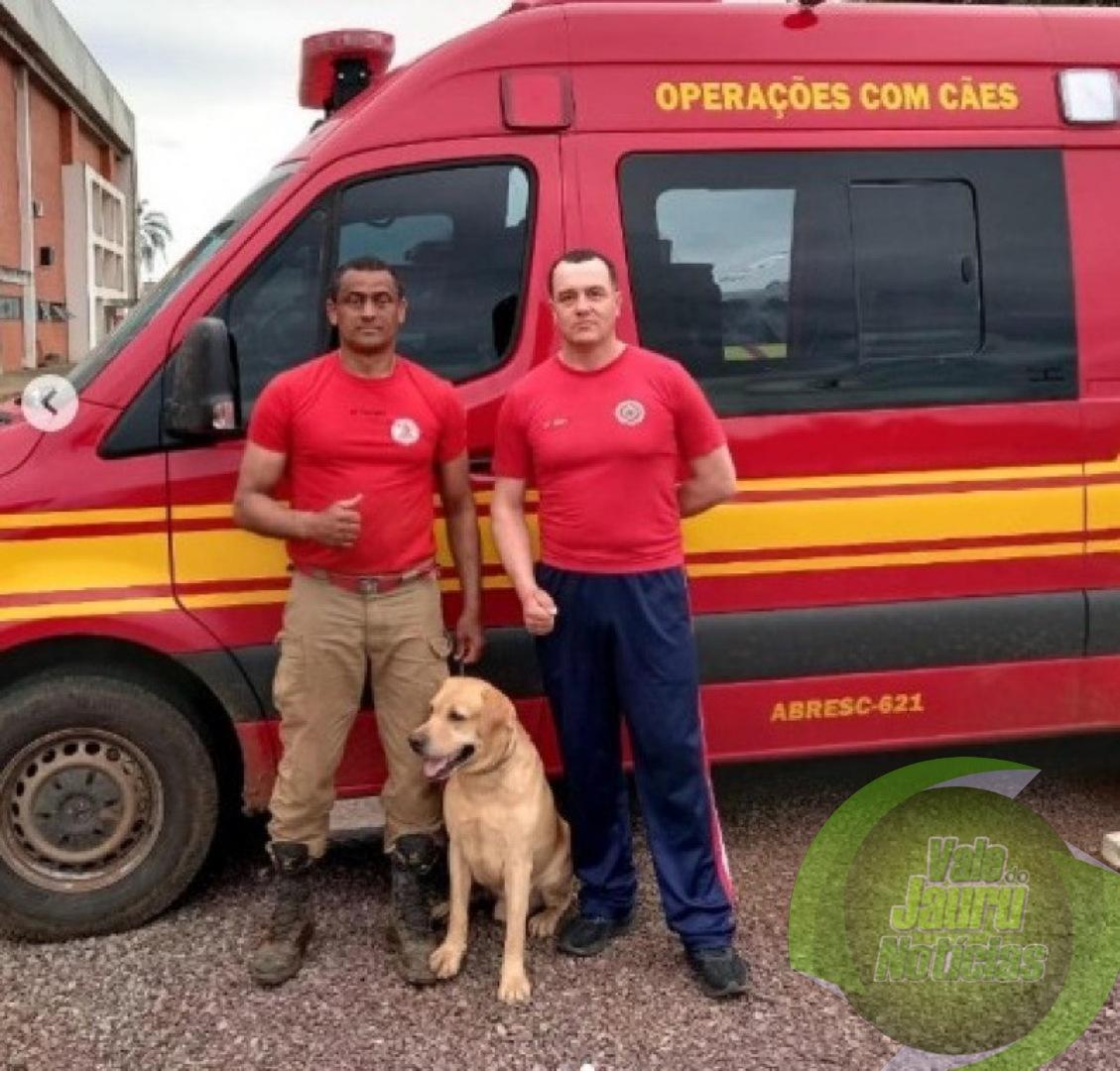 Cão farejador, Thayron de 5 anos, de Mato Grosso morre durante resgate de vítimas na tragédia do RS