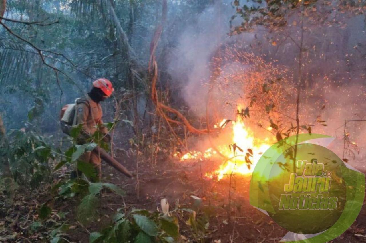Fogo destrói o equivalente a 20 mil campos de futebol em parques florestais de MT.