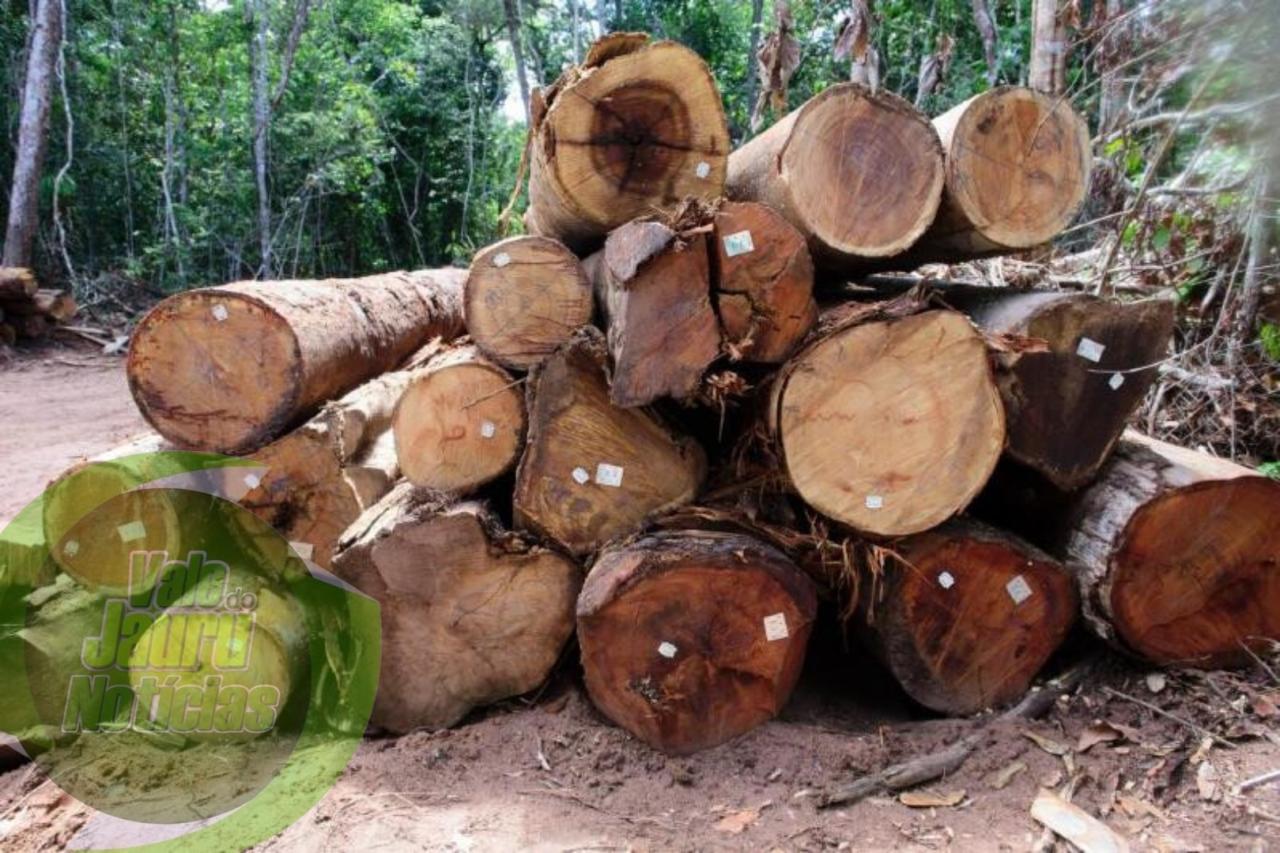 Gaeco deflagra operação contra organização que fraudou créditos florestais em MT