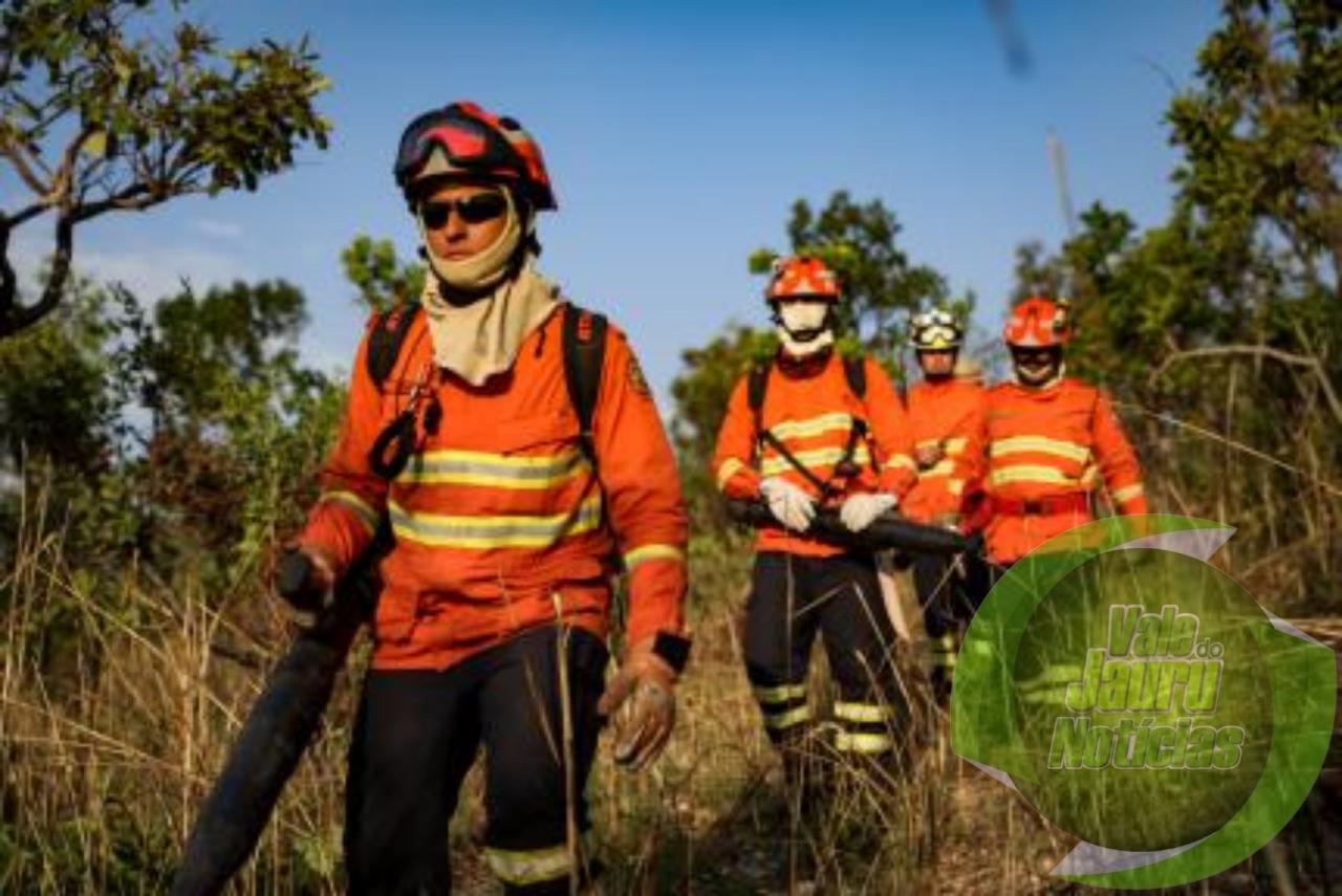 Mato Grosso registra menor número de focos de calor nos últimos 15 anos