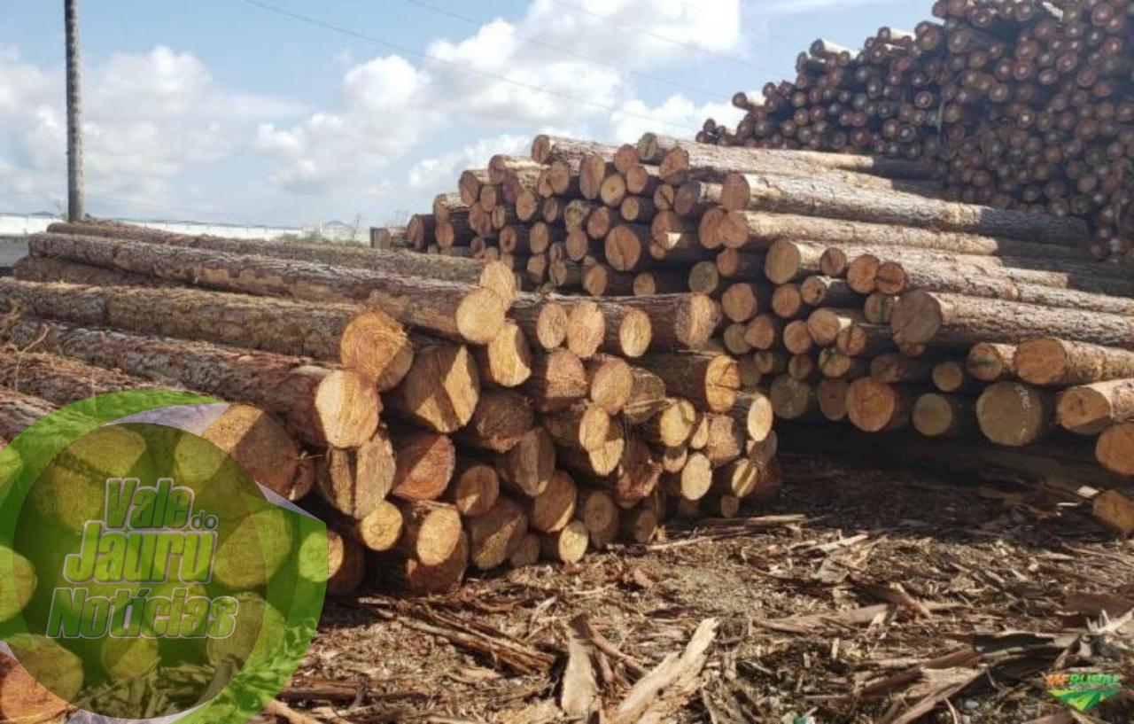 Motociclista morre ao ser atingido por tora de madeira que escapou de caminhonete em rodovia de MT