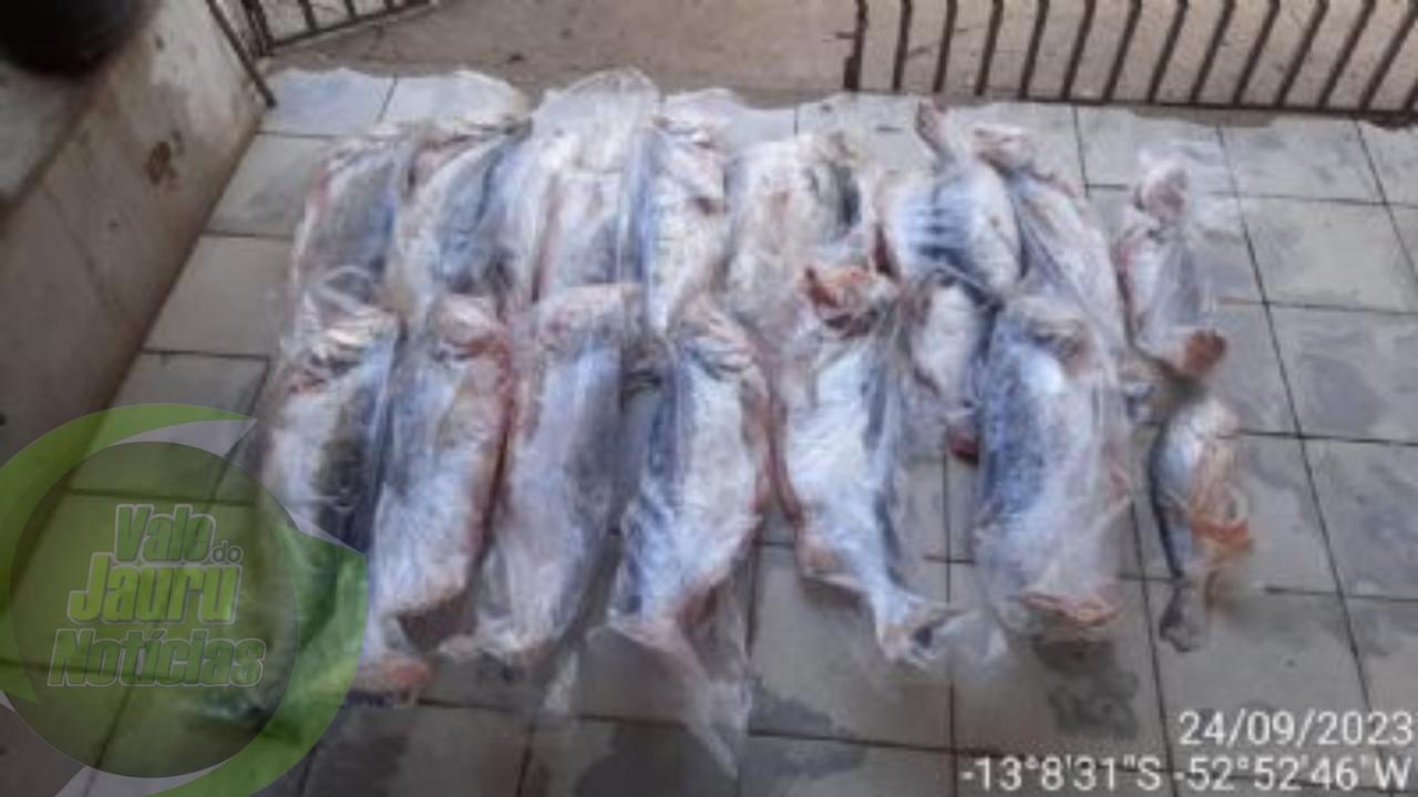 Sema apreende 236 kg de pescado irregular e aplica multa de R$ 48,6 mil