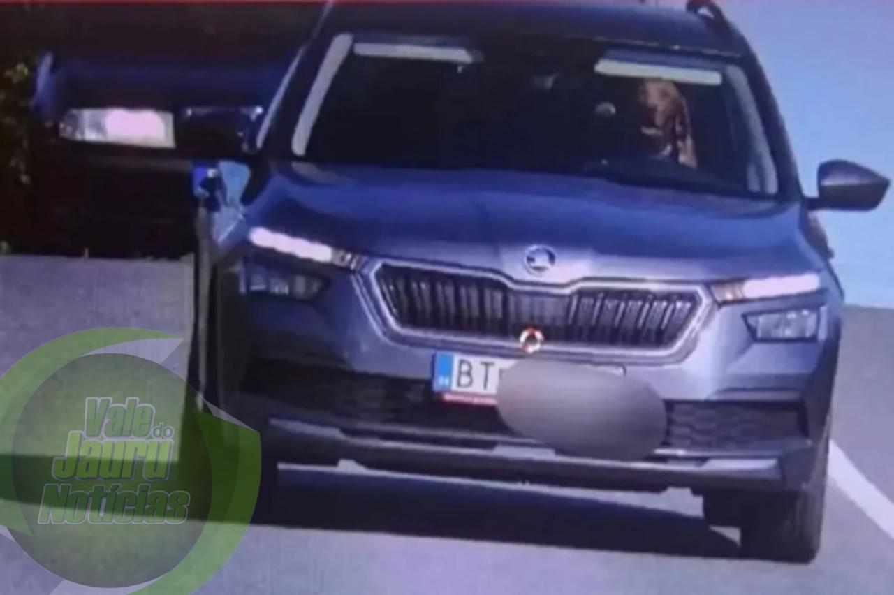 Cão é flagrado ao volante de carro em alta velocidade na Eslováquia. Dono foi multado