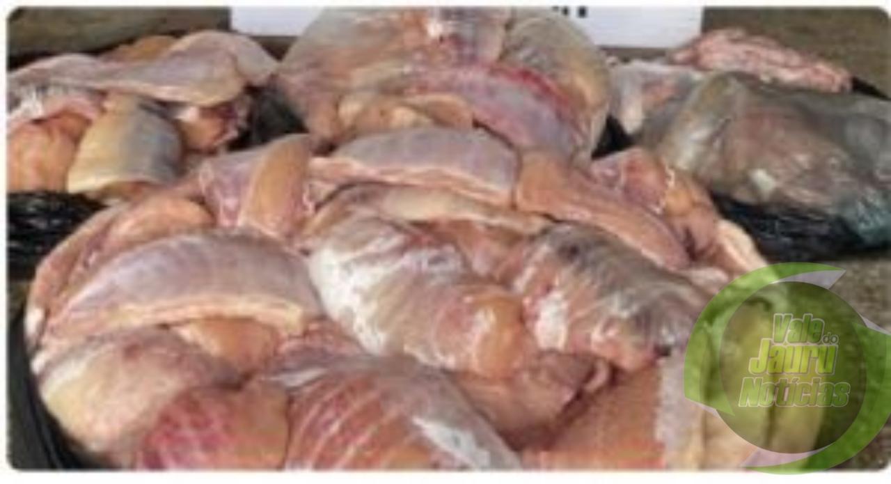 Em Cáceres, pescadores são multados em R$ 17,9 mil por pesca predatória após polícia encontrar 79 kg de peixe escondidos em freeze