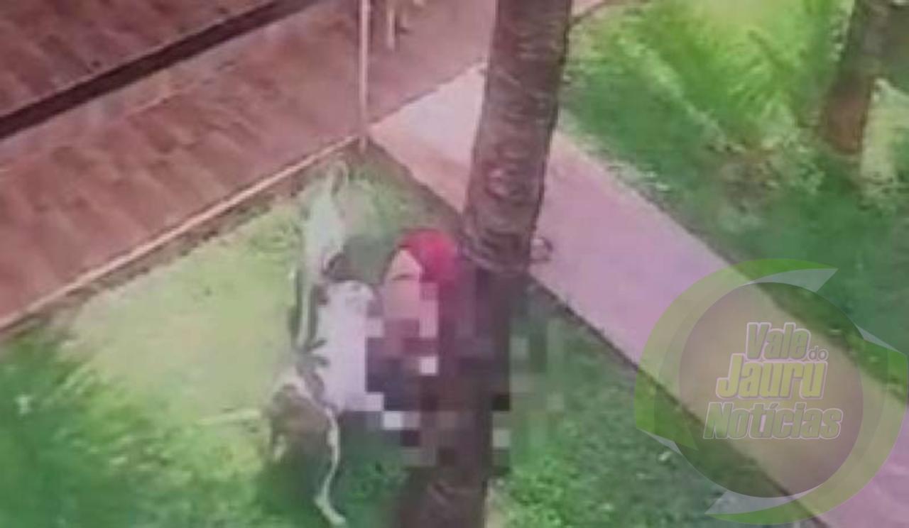 Mulher desmaia e tem a orelha arrancada por seu próprio pitbull em MT