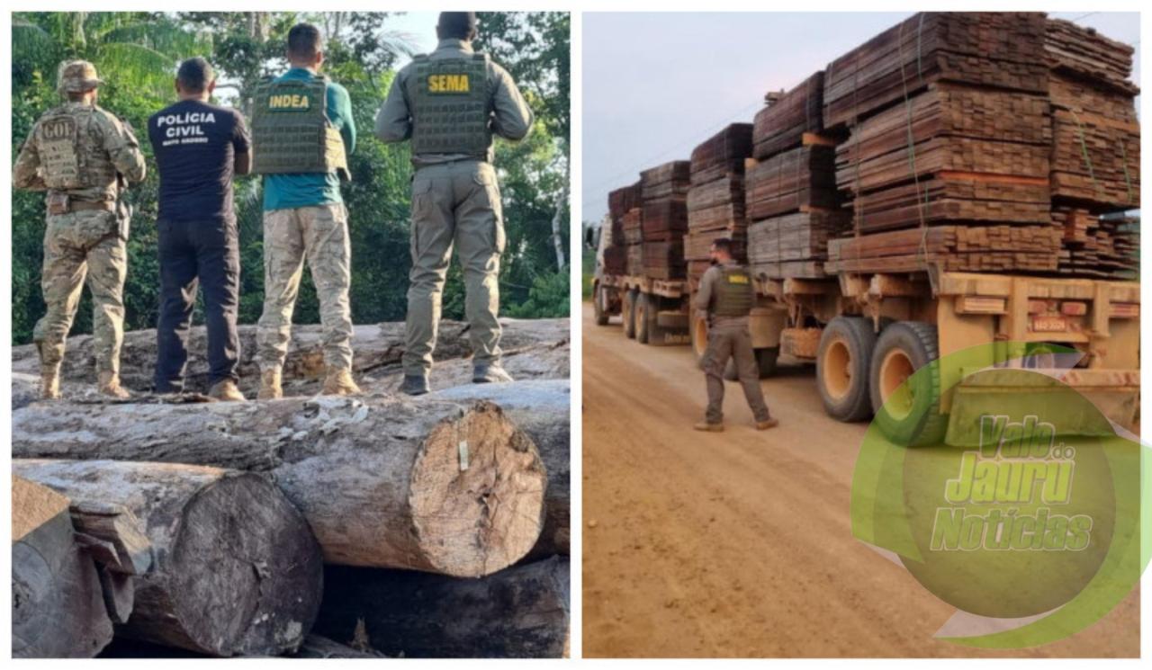 Operação apreende toras de castanheiras e jatobás na amazônia de MT