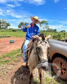 Caminhoneiro é assassinado dentro de quitinete em Brasnorte