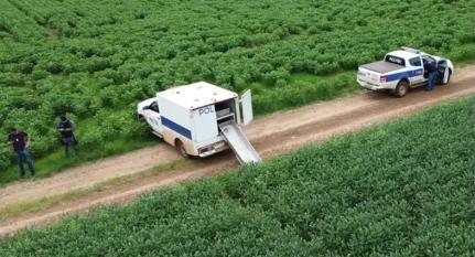 Corpo masculino é achado em plantação com pés e mãos amarrados