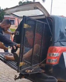 Polícia prende dois homens que incendiaram lojas no interior de MT