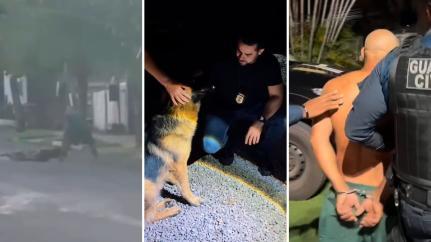 Vídeo - Tutor é detido por espancar animal preso a coleira