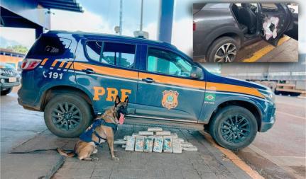 Motorista é preso com maconha escondida no porta-malas e forro do carro