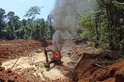 27 HECTARES DESMATADOS.
