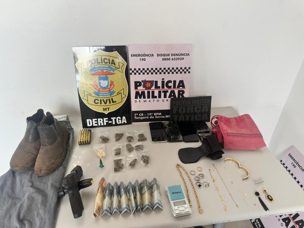 POLÍCIAS MILITAR E CIVIL.