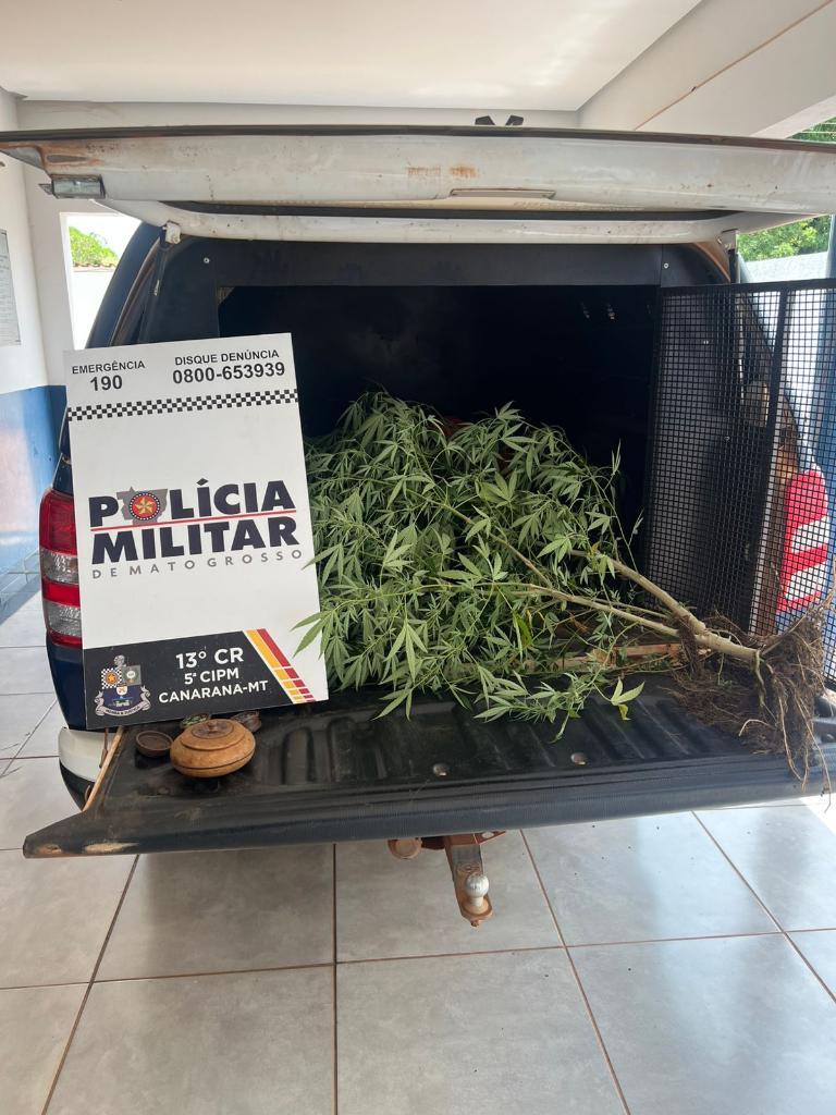 APÓS DENÚNCIA.