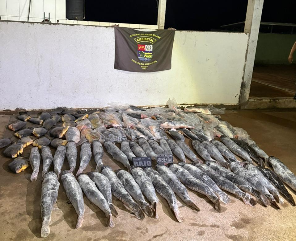 Batalhão Ambiental da PM prende homem com mais de 340 quilos de pescado ilegal.