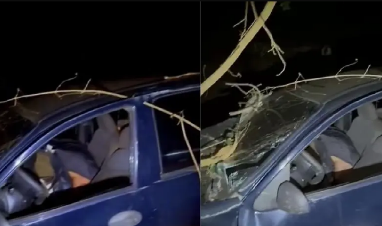 Carro bate em árvore na MT-250 e mata passageiro.