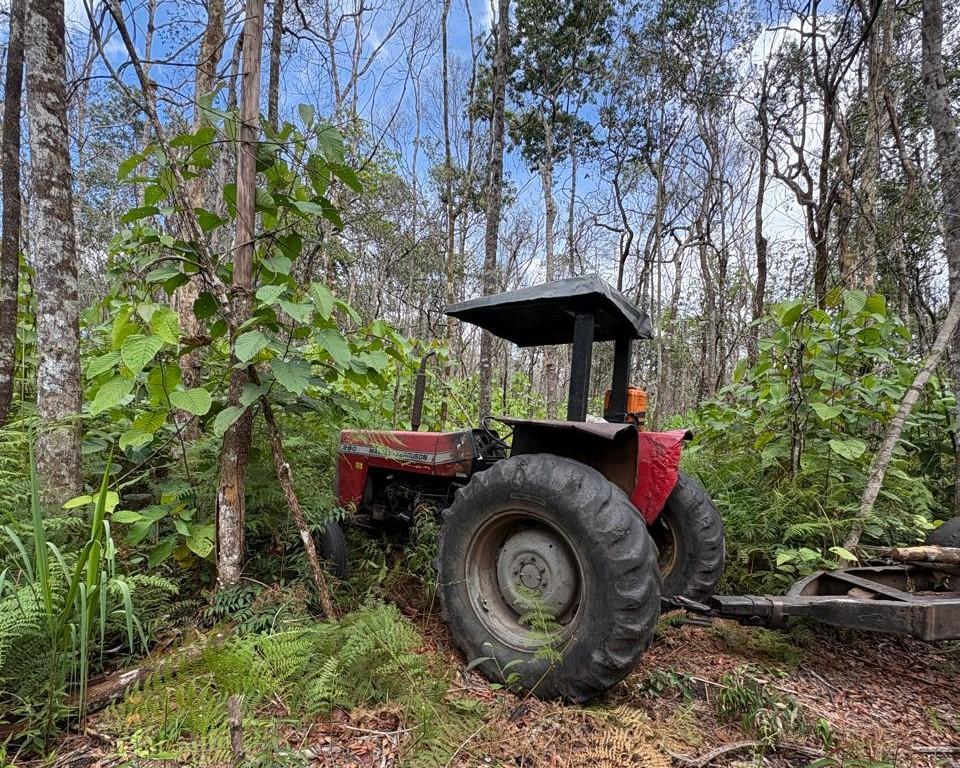 Polícia Civil e Funai desarticulam esquema de extração ilegal de madeira em Terra Indígena de Comodoro.
