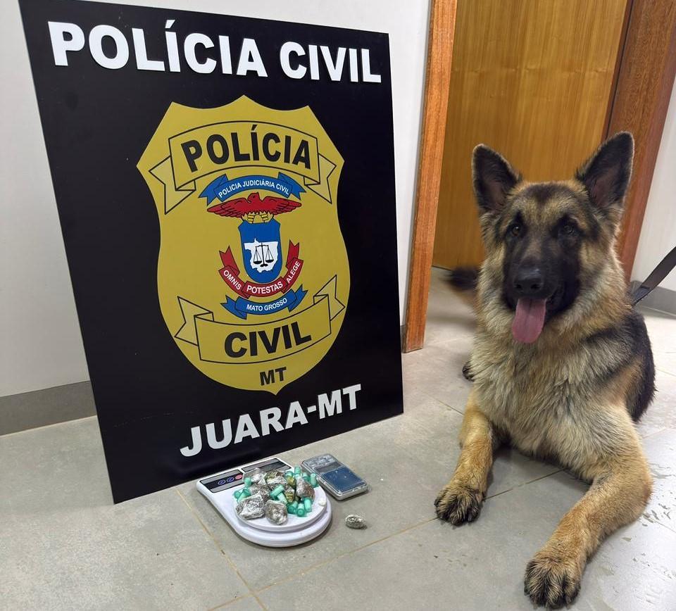 Polícia Civil prende dois homens por tráfico de drogas.