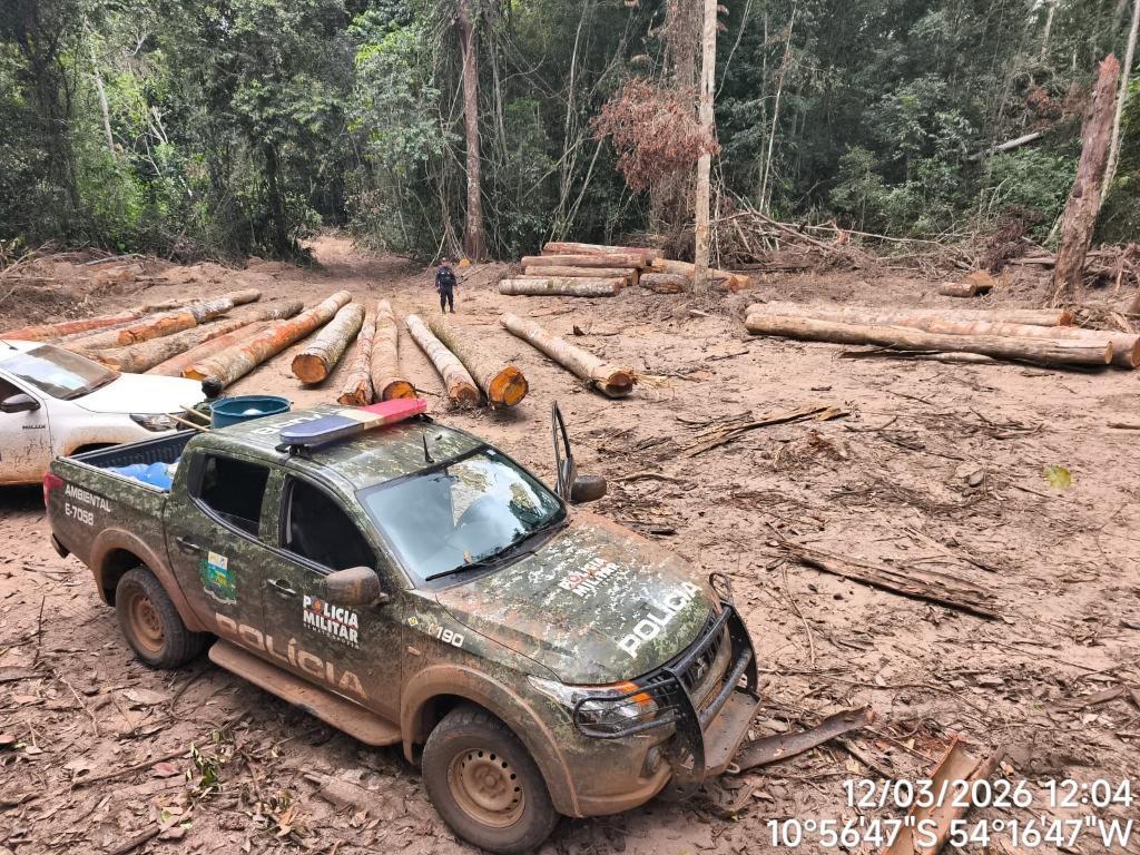 Batalhão Ambiental da PM apreende mais de 174 m³ de madeira ilegal durante fiscalização.