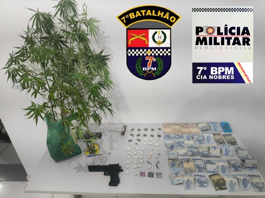 Homem é preso pela PM com pés de maconha e porções de drogas em residência.
