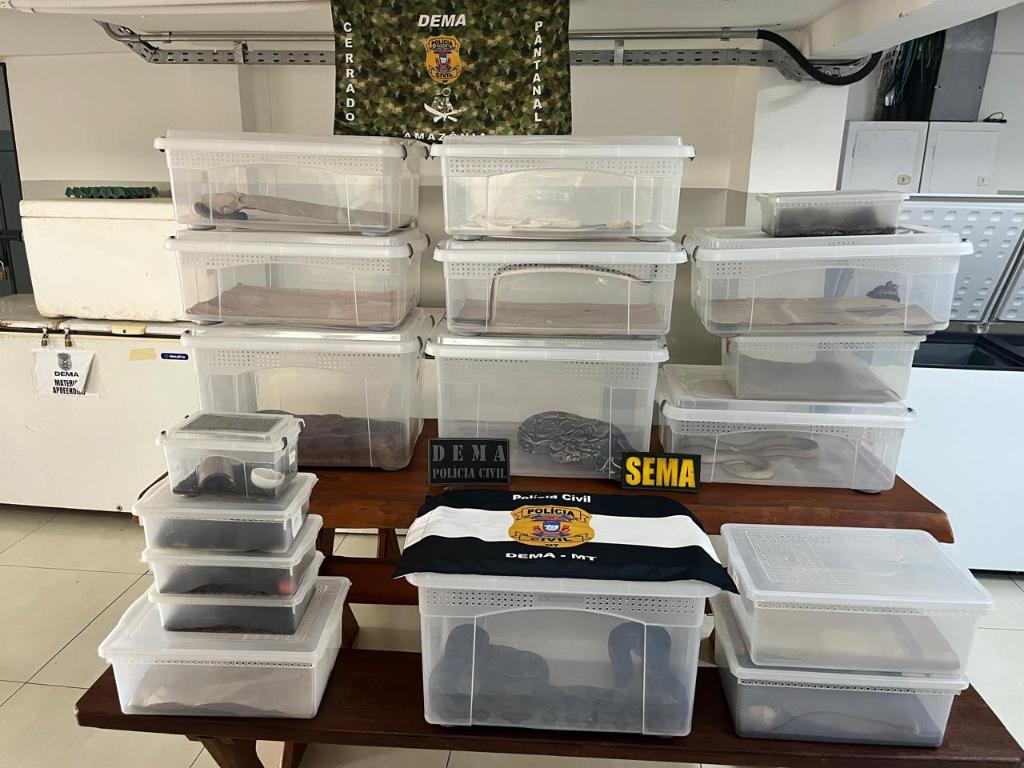 Polícia Civil deflagra operação contra manutenção irregular de animais silvestres e exóticos.