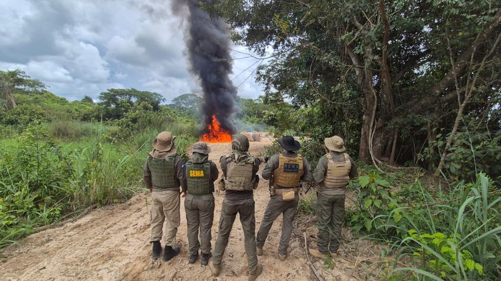 Polícia Civil deflagra Operação Logging e causa prejuízo de R$ 3,5 milhões ao crime ambiental.